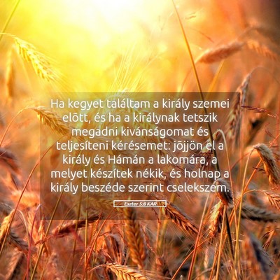 Picture 05 - Eszter 5:8 KAR - Ha kegyet találtam a király szemei elõtt, és - Bible Verse Picture