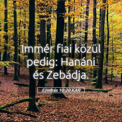 Picture 05 - Ezsdrás 10:20 KAR - Immér fiai közül pedig: Hanáni és - Bible Verse Picture
