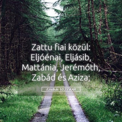 Picture 05 - Ezsdrás 10:27 KAR - Zattu fiai közül: Eljóénai, Eljásib, - Bible Verse Picture