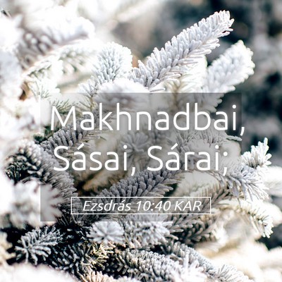 Picture 05 - Ezsdrás 10:40 KAR - Makhnadbai, Sásai, - Bible Verse Picture