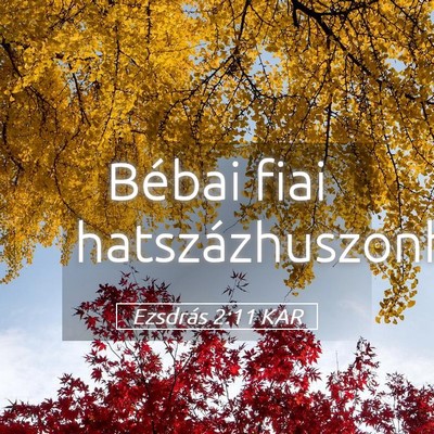 Picture 05 - Ezsdrás 2:11 KAR - Bébai fiai - Bible Verse Picture