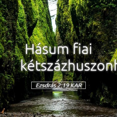 Picture 05 - Ezsdrás 2:19 KAR - Hásum fiai - Bible Verse Picture