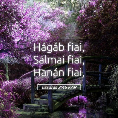 Picture 05 - Ezsdrás 2:46 KAR - Hágáb fiai, Salmai fiai, Hanán - Bible Verse Picture