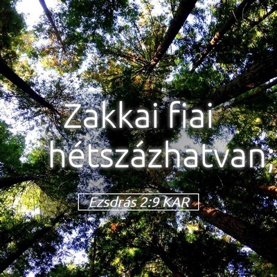 Picture 05 - Ezsdrás 2:9 KAR - Zakkai fiai - Bible Verse Picture