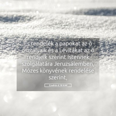 Picture 05 - Ezsdrás 6:18 KAR - És rendelék a papokat az õ osztályaik és a - Bible Verse Picture