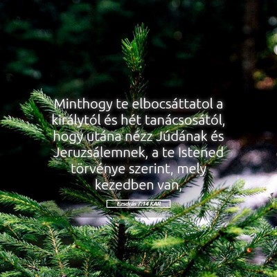 Picture 05 - Ezsdrás 7:14 KAR - Minthogy te elbocsáttatol a királytól és hét - Bible Verse Picture