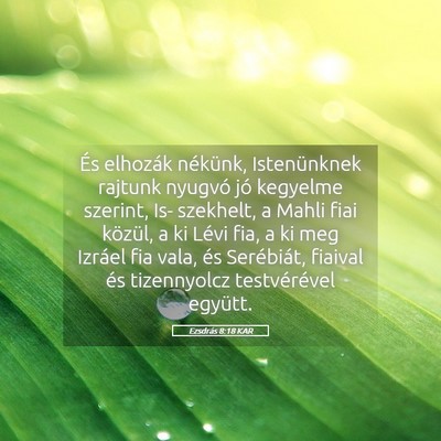 Picture 05 - Ezsdrás 8:18 KAR - És elhozák nékünk, Istenünknek rajtunk - Bible Verse Picture