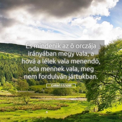 Picture 05 - Ezékiel 1:12 KAR - És mindenik az õ orczája irányában megy - Bible Verse Picture