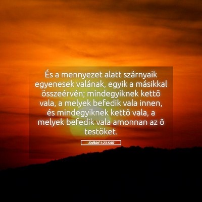 Picture 05 - Ezékiel 1:23 KAR - És a mennyezet alatt szárnyaik egyenesek - Bible Verse Picture