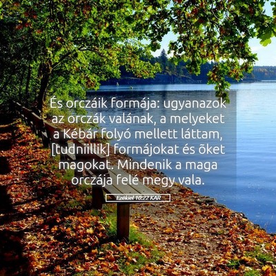 Picture 05 - Ezékiel 10:22 KAR - És orczáik formája: ugyanazok az orczák - Bible Verse Picture