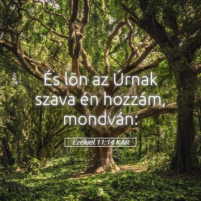 Picture 05 - Ezékiel 11:14 KAR - És lõn az Úrnak szava én hozzám, - Bible Verse Picture
