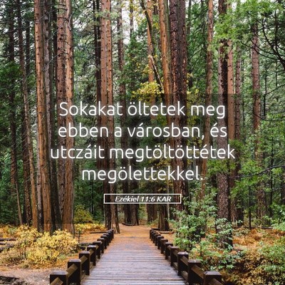 Picture 05 - Ezékiel 11:6 KAR - Sokakat öltetek meg ebben a városban, és - Bible Verse Picture
