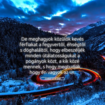 Picture 05 - Ezékiel 12:16 KAR - De meghagyok közülök kevés férfiakat a - Bible Verse Picture