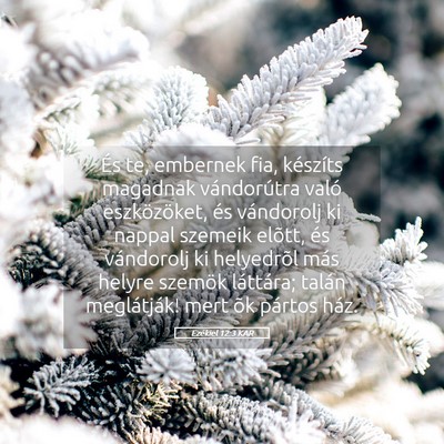 Picture 05 - Ezékiel 12:3 KAR - És te, embernek fia, készíts magadnak - Bible Verse Picture