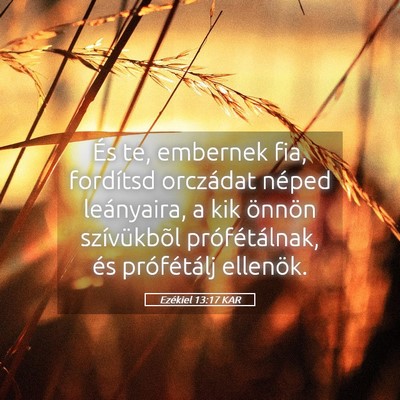 Picture 05 - Ezékiel 13:17 KAR - És te, embernek fia, fordítsd orczádat néped - Bible Verse Picture