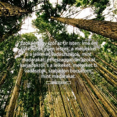 Picture 05 - Ezékiel 13:20 KAR - Ezokáért így szól az Úr Isten: Ímé én - Bible Verse Picture