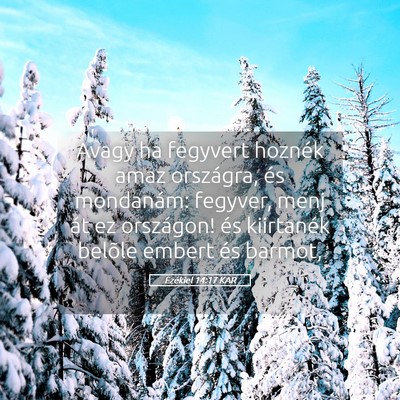 Picture 05 - Ezékiel 14:17 KAR - Avagy ha fegyvert hoznék amaz országra, és - Bible Verse Picture