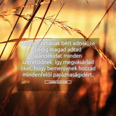 Picture 05 - Ezékiel 16:33 KAR - Minden rimának bért adnak, te pedig magad adtad - Bible Verse Picture