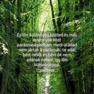 Picture 05 - Ezékiel 16:34 KAR - És lõn különbség közted és más asszonyok - Bible Verse Picture