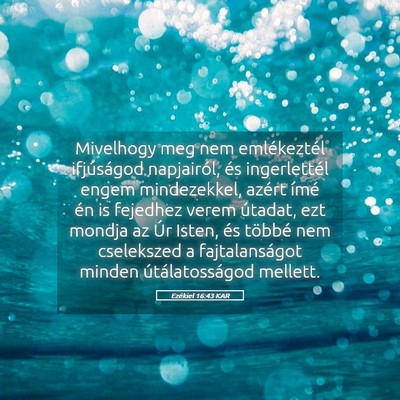 Picture 05 - Ezékiel 16:43 KAR - Mivelhogy meg nem emlékeztél ifjúságod - Bible Verse Picture