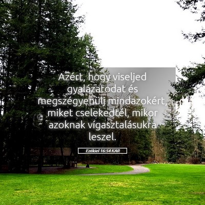 Picture 05 - Ezékiel 16:54 KAR - Azért, hogy viseljed gyalázatodat és - Bible Verse Picture