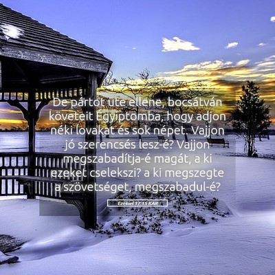 Picture 05 - Ezékiel 17:15 KAR - De pártot üte ellene, bocsátván követeit - Bible Verse Picture