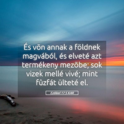Picture 05 - Ezékiel 17:5 KAR - És võn annak a földnek magvából, és elveté - Bible Verse Picture
