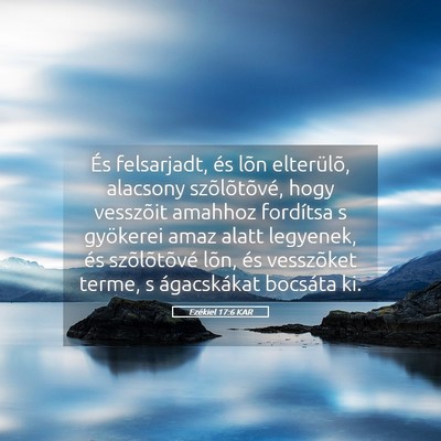 Picture 05 - Ezékiel 17:6 KAR - És felsarjadt, és lõn elterülõ, alacsony - Bible Verse Picture