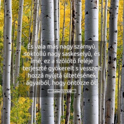 Picture 05 - Ezékiel 17:7 KAR - És vala más nagy szárnyú, soktollú nagy - Bible Verse Picture