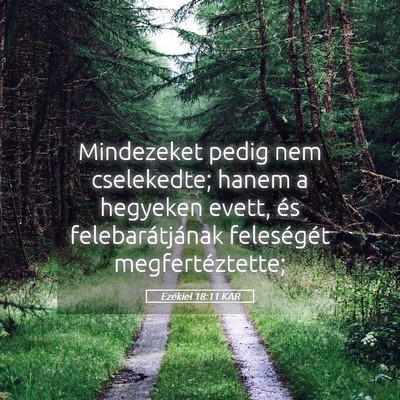 Picture 05 - Ezékiel 18:11 KAR - Mindezeket pedig nem cselekedte; hanem a hegyeken - Bible Verse Picture