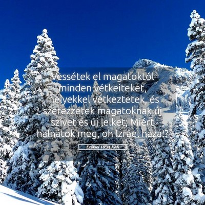 Picture 05 - Ezékiel 18:31 KAR - Vessétek el magatoktól minden vétkeiteket, - Bible Verse Picture