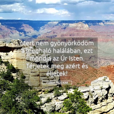 Picture 05 - Ezékiel 18:32 KAR - Mert nem gyönyörködöm a meghaló halálában, - Bible Verse Picture