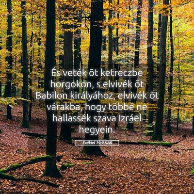Picture 05 - Ezékiel 19:9 KAR - És veték õt ketreczbe horgokon, s elvivék õt - Bible Verse Picture