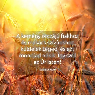 Picture 05 - Ezékiel 2:4 KAR - A kemény orczájú fiakhoz és makacs - Bible Verse Picture