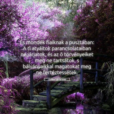 Picture 05 - Ezékiel 20:18 KAR - És mondék fiaiknak a pusztában: A ti atyáitok - Bible Verse Picture