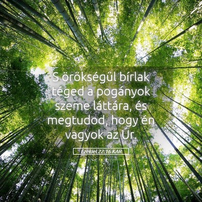 Picture 05 - Ezékiel 22:16 KAR - S örökségül bírlak téged a pogányok szeme - Bible Verse Picture