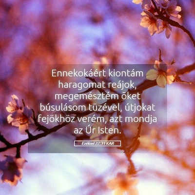 Picture 05 - Ezékiel 22:31 KAR - Ennekokáért kiontám haragomat reájok, - Bible Verse Picture