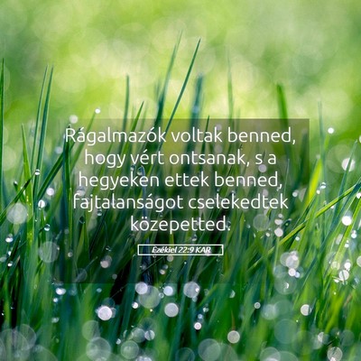Picture 05 - Ezékiel 22:9 KAR - Rágalmazók voltak benned, hogy vért ontsanak, - Bible Verse Picture