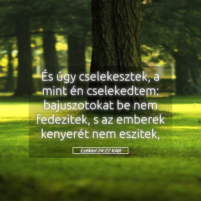 Picture 05 - Ezékiel 24:22 KAR - És úgy cselekesztek, a mint én cselekedtem: - Bible Verse Picture