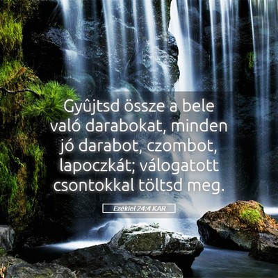 Picture 05 - Ezékiel 24:4 KAR - Gyûjtsd össze a bele való darabokat, minden - Bible Verse Picture