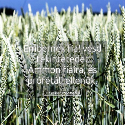 Picture 05 - Ezékiel 25:2 KAR - Embernek fia! vesd tekintetedet Ammon fiaira, és - Bible Verse Picture