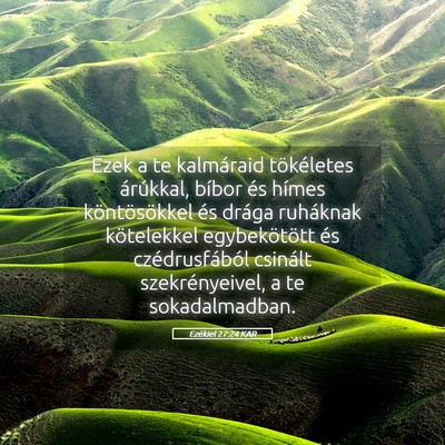 Picture 05 - Ezékiel 27:24 KAR - Ezek a te kalmáraid tökéletes árúkkal, - Bible Verse Picture