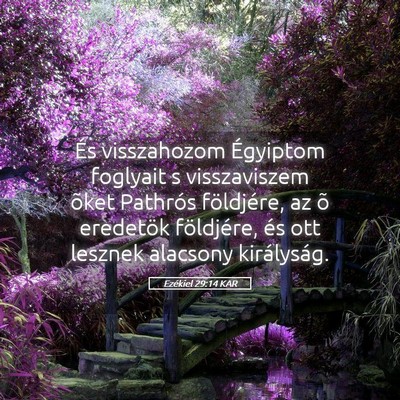 Picture 05 - Ezékiel 29:14 KAR - És visszahozom Égyiptom foglyait s visszaviszem - Bible Verse Picture