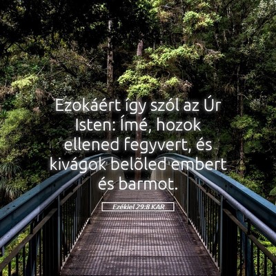 Picture 05 - Ezékiel 29:8 KAR - Ezokáért így szól az Úr Isten: Ímé, hozok - Bible Verse Picture