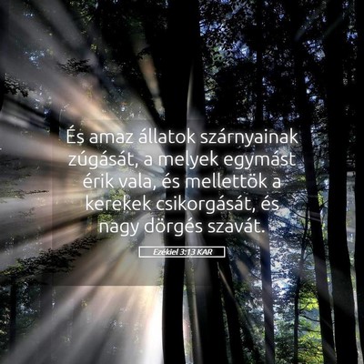 Picture 05 - Ezékiel 3:13 KAR - És amaz állatok szárnyainak zúgását, a - Bible Verse Picture