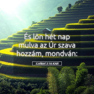Picture 05 - Ezékiel 3:16 KAR - És lõn hét nap mulva az Úr szava hozzám, - Bible Verse Picture