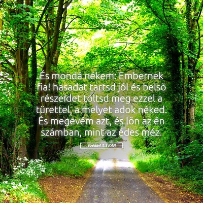 Picture 05 - Ezékiel 3:3 KAR - És mondá nékem: Embernek fia! hasadat tartsd - Bible Verse Picture