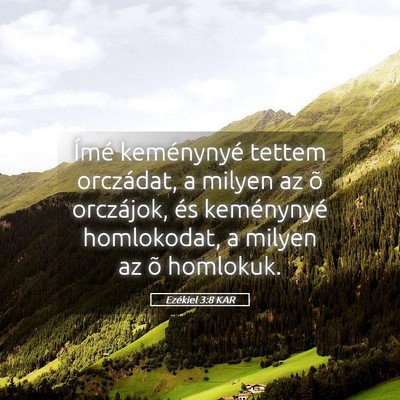 Picture 05 - Ezékiel 3:8 KAR - Ímé keménynyé tettem orczádat, a milyen az - Bible Verse Picture