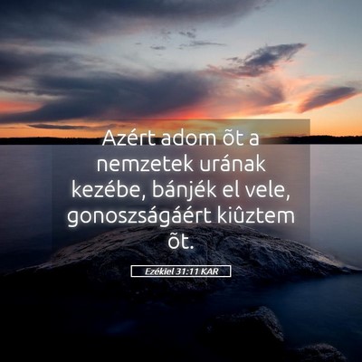 Picture 05 - Ezékiel 31:11 KAR - Azért adom õt a nemzetek urának kezébe, - Bible Verse Picture