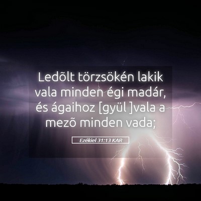 Picture 05 - Ezékiel 31:13 KAR - Ledõlt törzsökén lakik vala minden égi - Bible Verse Picture